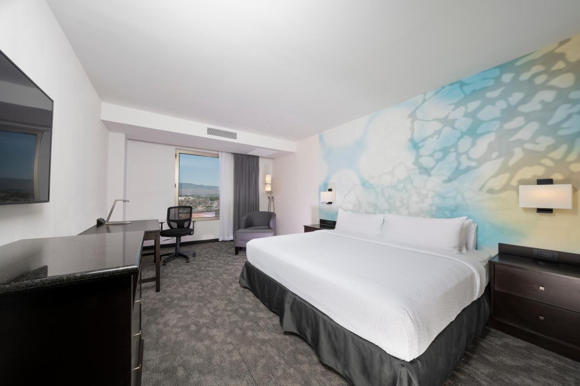 Courtyard By Marriott San Luis Potosi Ξενοδοχείο Εξωτερικό φωτογραφία